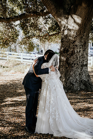 Wedding Day (25)