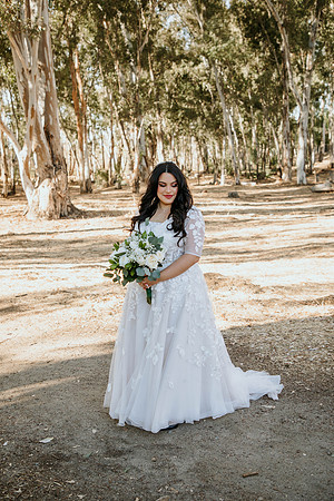 Wedding Day (338)