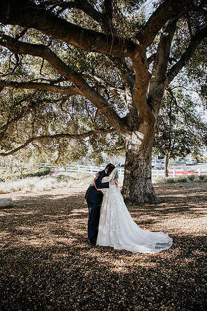 Wedding Day (24)