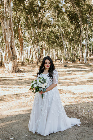 Wedding Day (339)