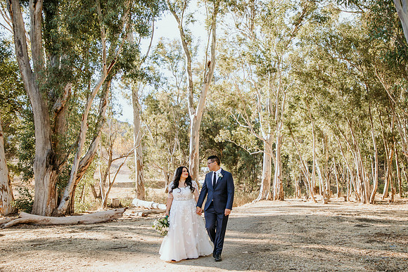 Wedding Day (395)
