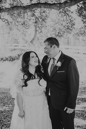 Wedding Day (97)