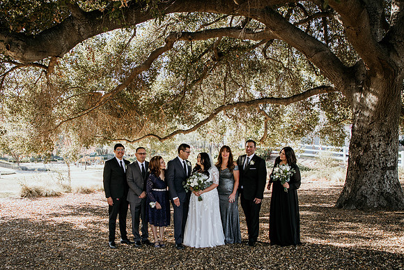 Wedding Day (141)