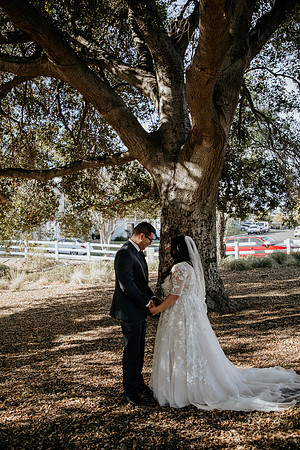 Wedding Day (48)