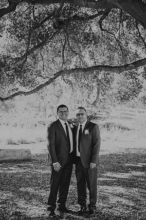 Wedding Day (119)