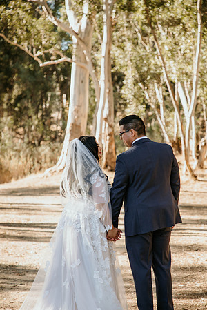 Wedding Day (278)