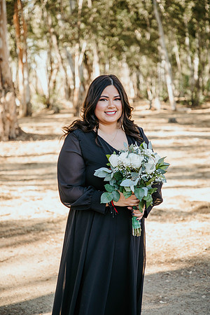 Wedding Day (390)