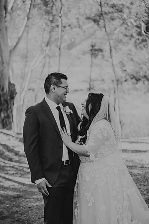 Wedding Day (213)
