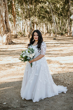 Wedding Day (335)