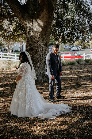 Wedding Day (52)