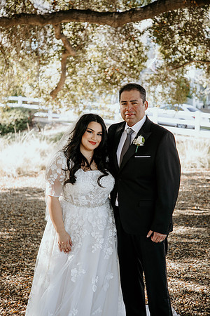Wedding Day (90)