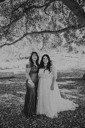 Wedding Day (79)