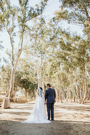 Wedding Day (271)