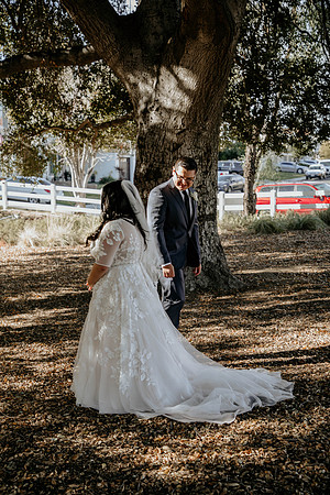 Wedding Day (50)
