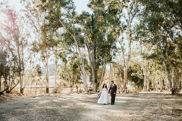 Wedding Day (401)