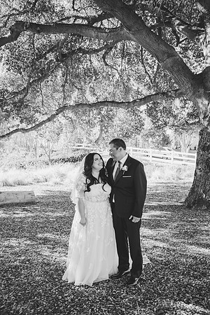 Wedding Day (100)