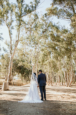 Wedding Day (273)