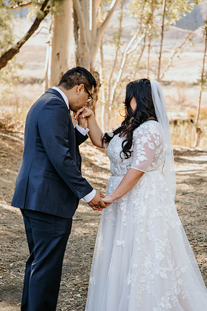 Wedding Day (250)