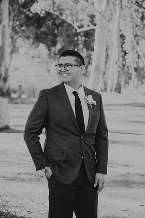 Wedding Day (377)