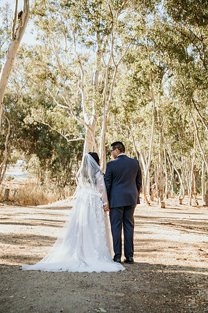 Wedding Day (270)
