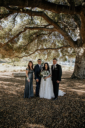 Wedding Day (61)