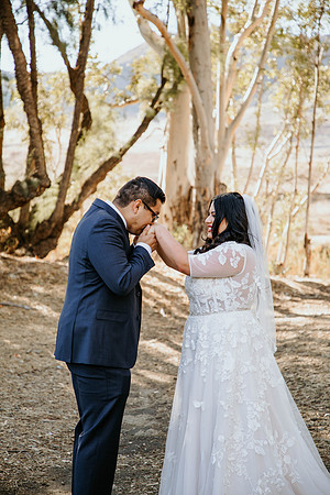 Wedding Day (252)
