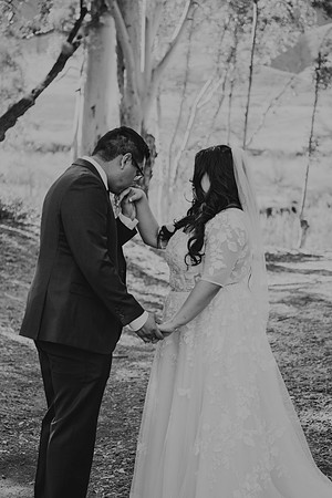 Wedding Day (249)