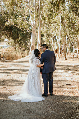 Wedding Day (292)