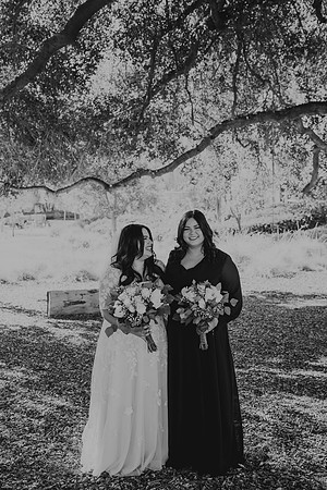 Wedding Day (176)