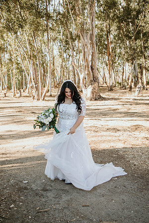 Wedding Day (341)
