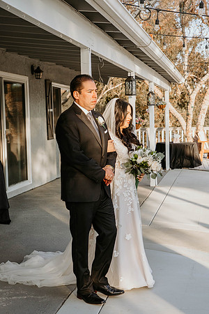 Wedding Day (456)