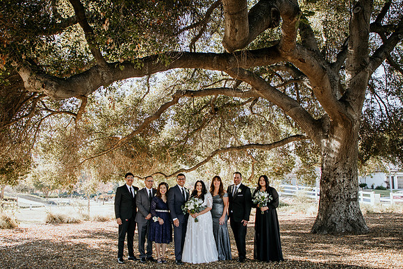 Wedding Day (137)