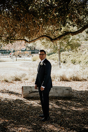 Wedding Day (14)