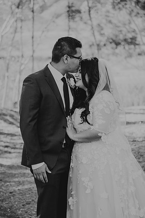 Wedding Day (209)