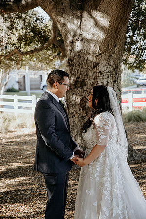 Wedding Day (44)