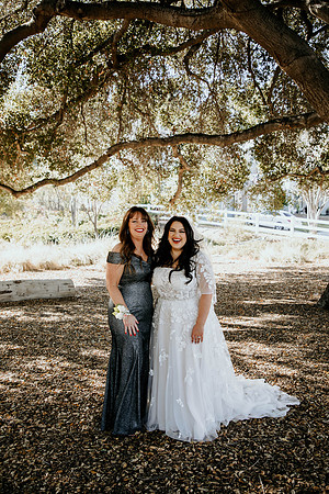 Wedding Day (80)