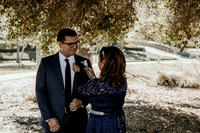 Wedding Day (1)