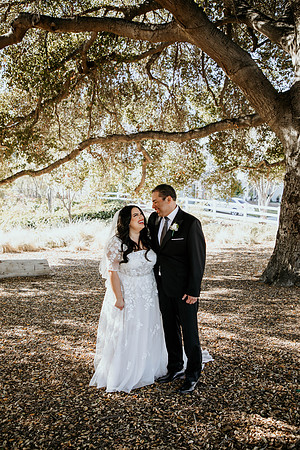 Wedding Day (101)