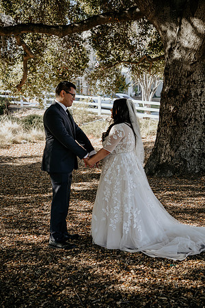 Wedding Day (58)