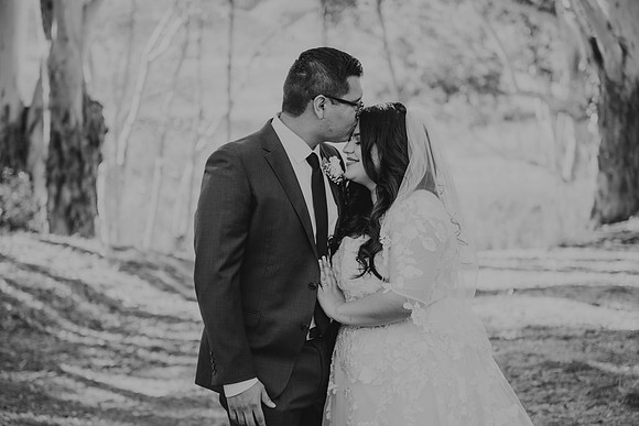 Wedding Day (208)
