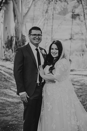 Wedding Day (200)