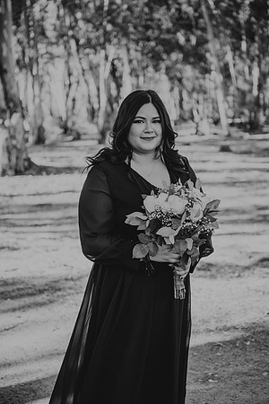 Wedding Day (389)