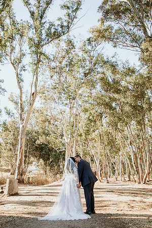 Wedding Day (272)