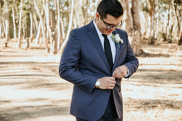 Wedding Day (365)