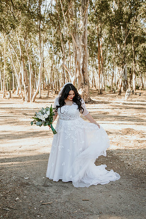 Wedding Day (350)
