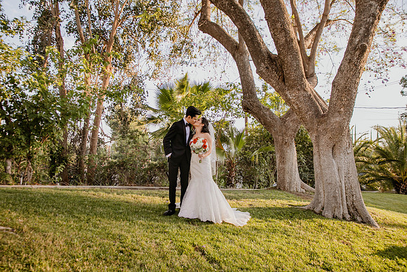 Wedding Day (377)