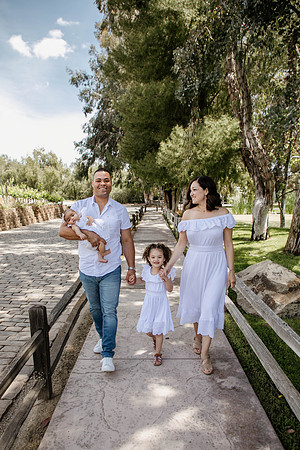 6V8A1239