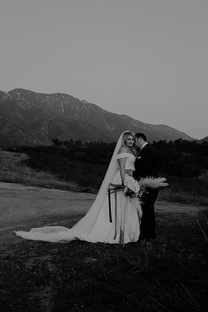 Ajay & Chelsea Wedding (497)