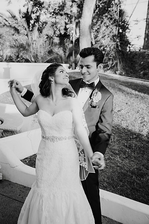 Wedding Day (390)