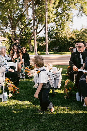 Wedding Day350